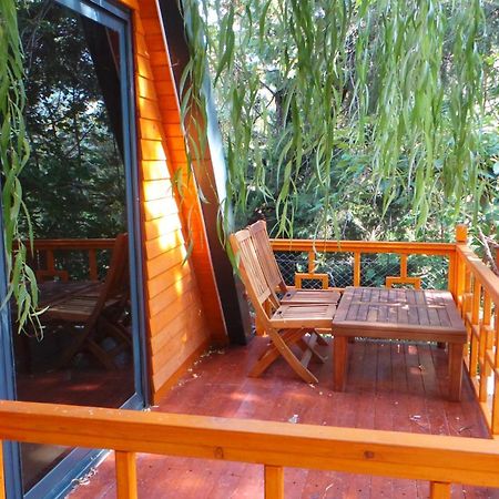 Trinitys Forest Bungalows เกเมร์ ภายนอก รูปภาพ
