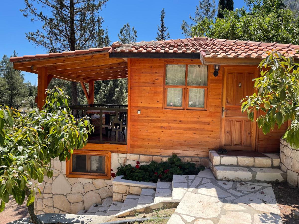 Trinitys Forest Bungalows เกเมร์ ภายนอก รูปภาพ