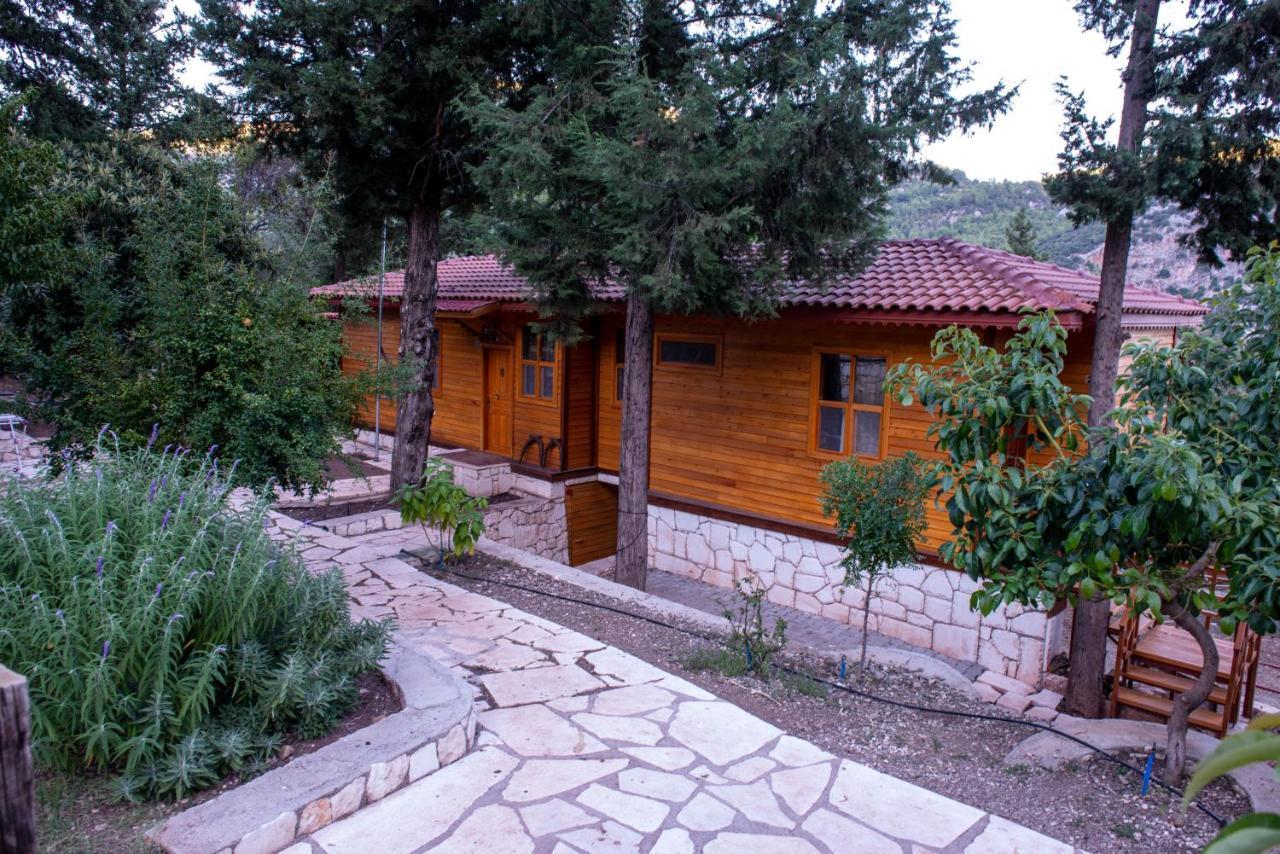 Trinitys Forest Bungalows เกเมร์ ภายนอก รูปภาพ