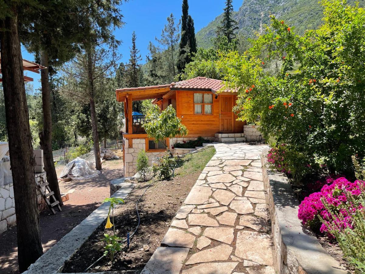 Trinitys Forest Bungalows เกเมร์ ภายนอก รูปภาพ