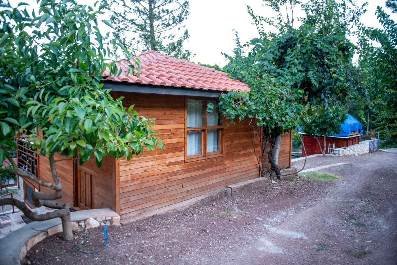 Trinitys Forest Bungalows เกเมร์ ภายนอก รูปภาพ