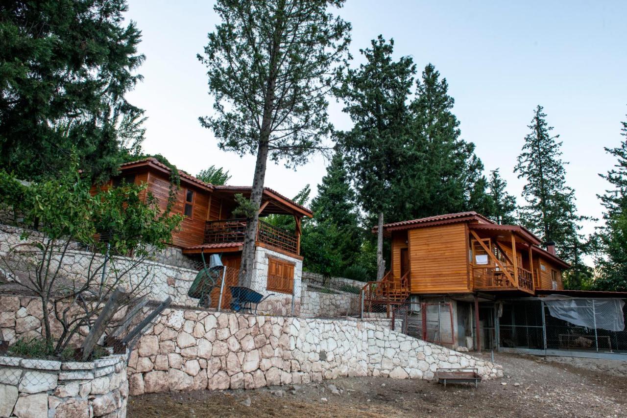 Trinitys Forest Bungalows เกเมร์ ภายนอก รูปภาพ