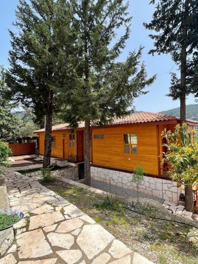 Trinitys Forest Bungalows เกเมร์ ภายนอก รูปภาพ