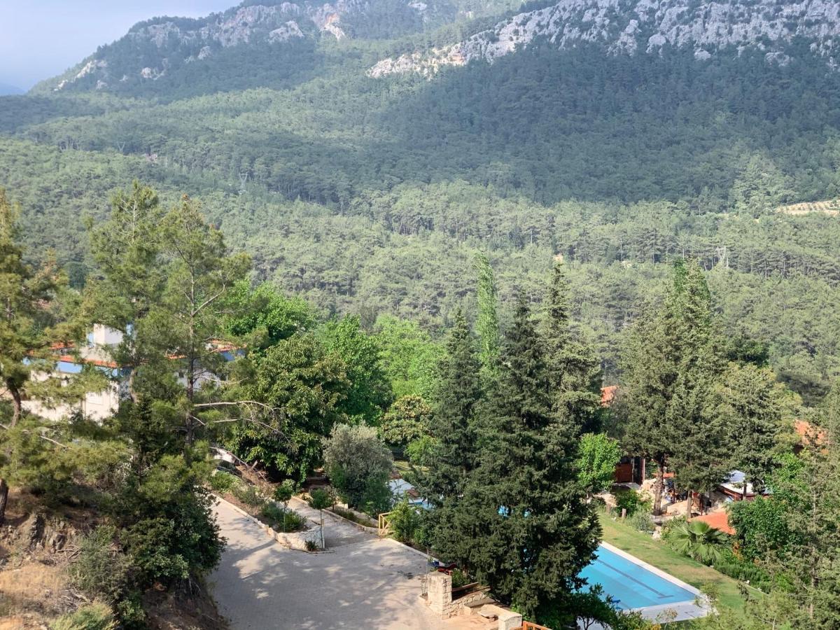 Trinitys Forest Bungalows เกเมร์ ภายนอก รูปภาพ