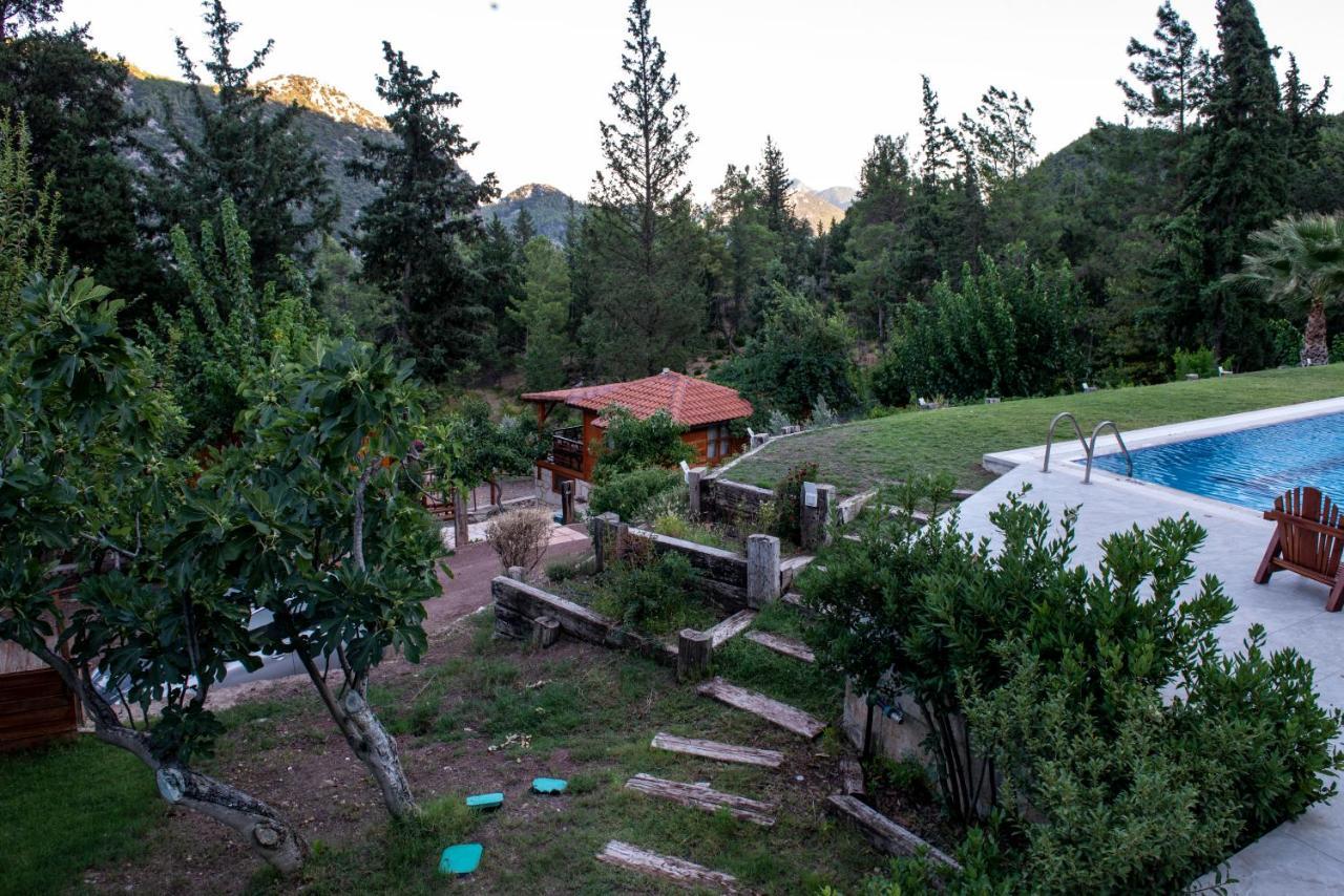 Trinitys Forest Bungalows เกเมร์ ภายนอก รูปภาพ