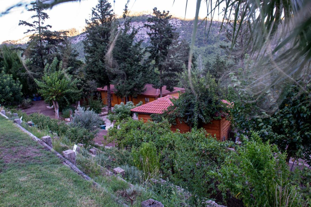 Trinitys Forest Bungalows เกเมร์ ภายนอก รูปภาพ