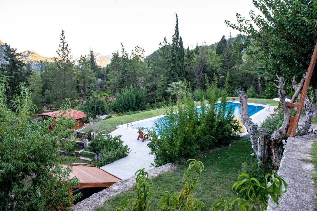 Trinitys Forest Bungalows เกเมร์ ภายนอก รูปภาพ