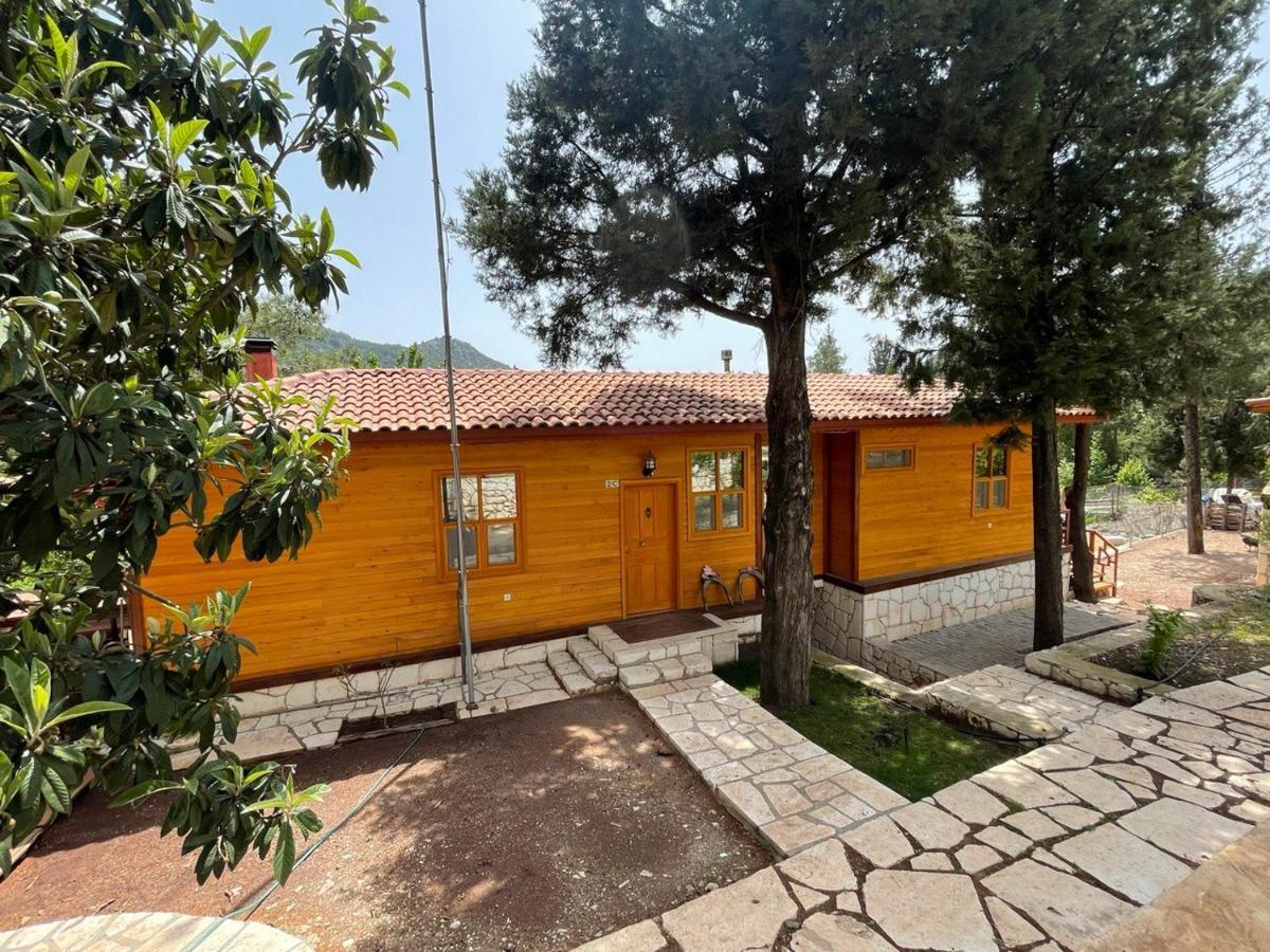 Trinitys Forest Bungalows เกเมร์ ภายนอก รูปภาพ