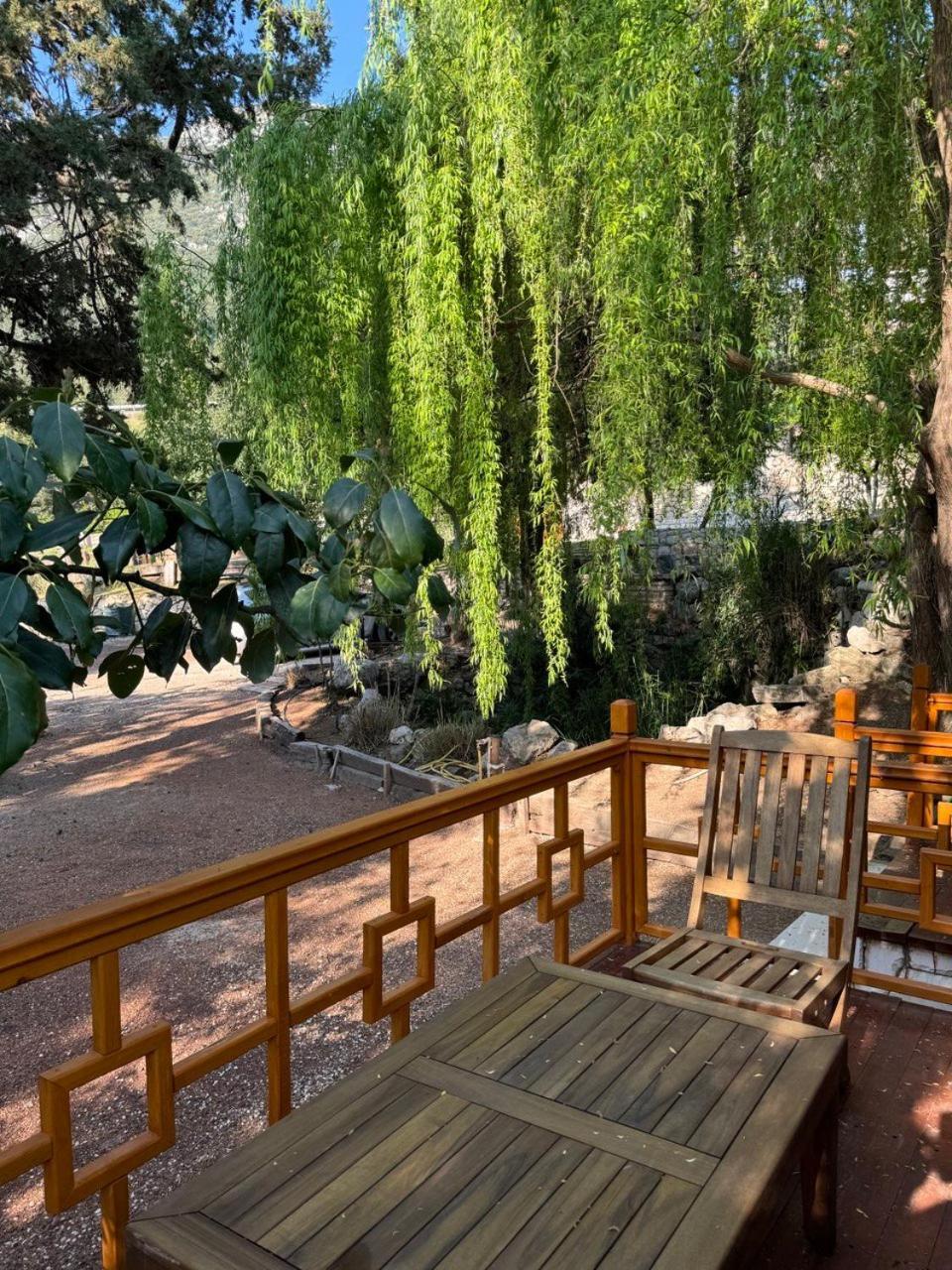 Trinitys Forest Bungalows เกเมร์ ภายนอก รูปภาพ